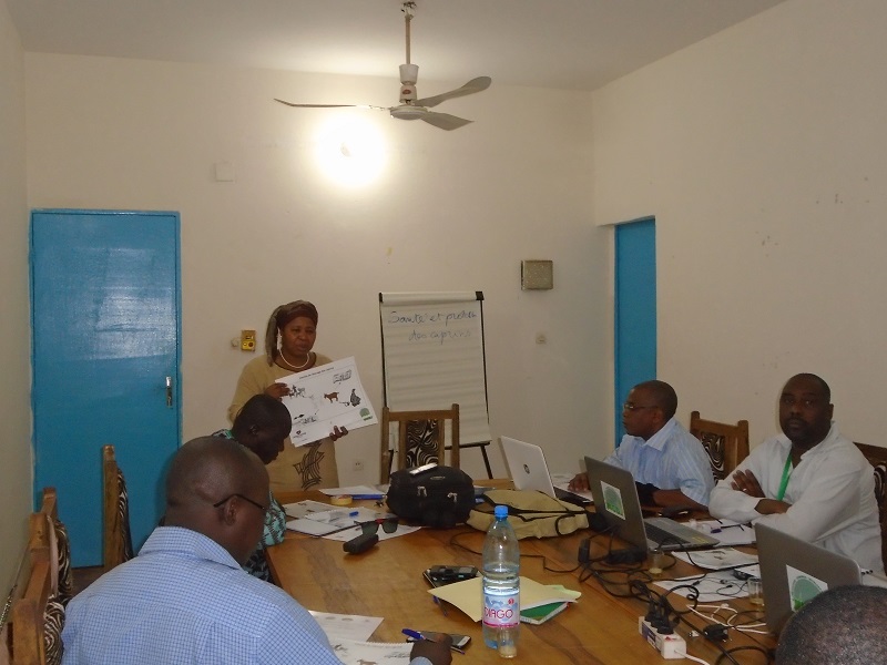 ICD Mali renforce les capacités de l’équipe de mise en œuvre du projet Albarka pour un meilleur démarrage des activités