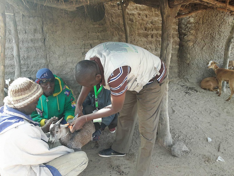 Le PISAREL à pied d’œuvre pour l’amélioration des conditions de vie des ménages vulnérables des cercles de Koulikoro et Kati